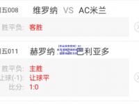 【开云体育官网】AC米兰主场逆袭胜维罗纳，继续领跑积分榜