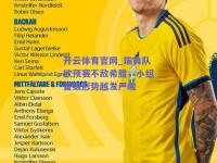 开云体育官网_瑞典队欧预赛不敌希腊，小组晋级形势越发严峻