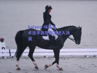 kaiyun-埃及马术选手表现稳定进入决赛